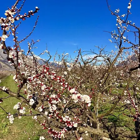 Ξενοδοχείο με διαμερίσματα Evasion Sarl Saillon