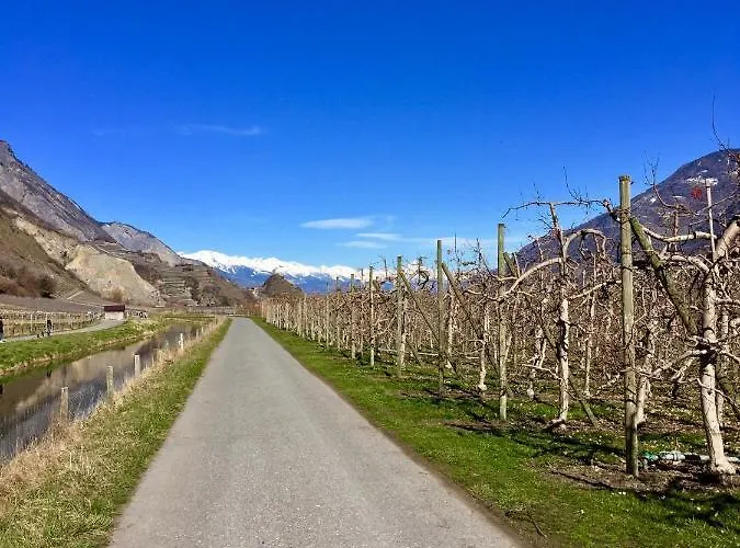 Aparthotel Evasion Sarl Saillon