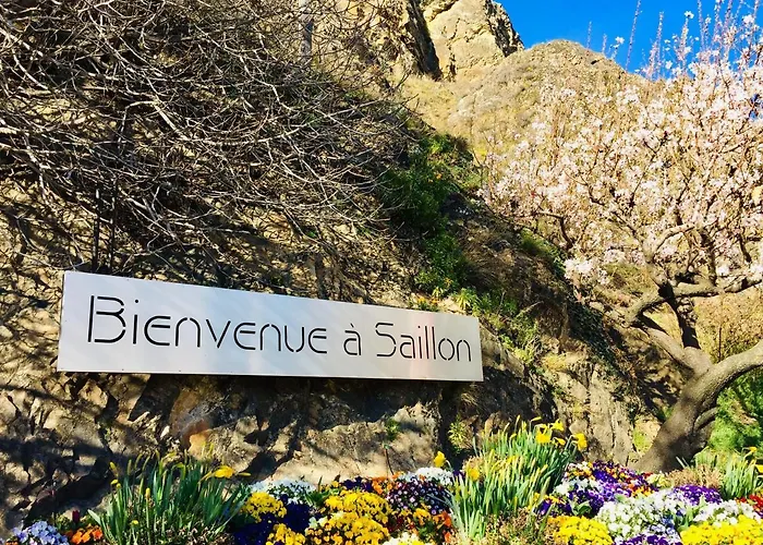 Апарт-отель Studios & Appartements Famille - Saillon Evasion Сайон