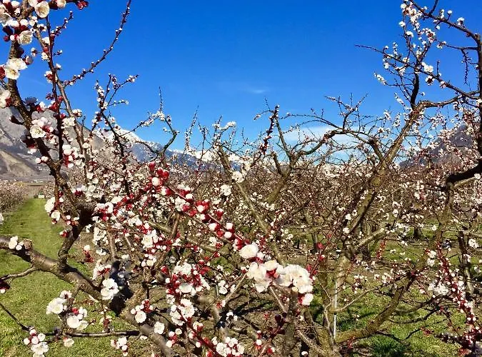 Apartahotel Evasion Sarl Saillon